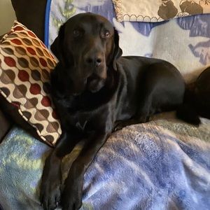 Meet your Posher, Annette